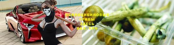 спайс Алзамай